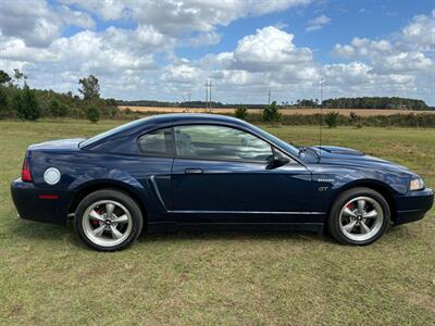 2001 Ford Mustang Bullitt   - Photo 6 - Albany, GA 31721