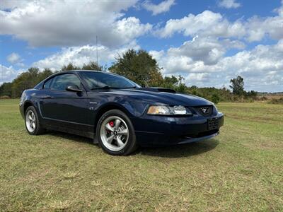 2001 Ford Mustang Bullitt   - Photo 9 - Albany, GA 31721