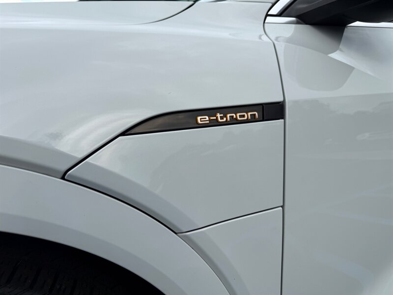 2019 Audi e-tron quattro Prestige - Photo 15 - Grand Rapids, MI 49512
