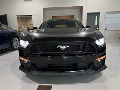 2017 Ford Mustang GT Premium - Photo 6 - Grand Rapids, MI 49512