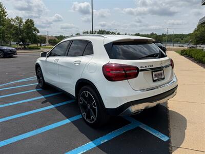 2019 Mercedes-Benz GLA GLA 250 - Photo 11 - Grand Rapids, MI 49512