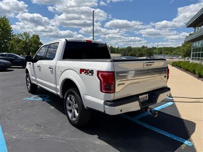 2017 Ford F-150 Platinum   - Photo 10 - Grand Rapids, MI 49512