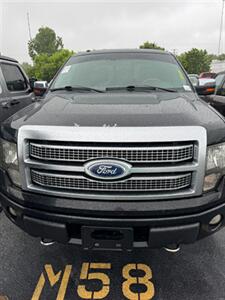 2010 Ford F-150 XL  PLATINUM Truck