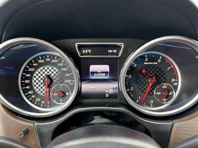 2018 Mercedes-Benz AMG GLE 43 - Photo 18 - Edmonton, AB T5S 1R1