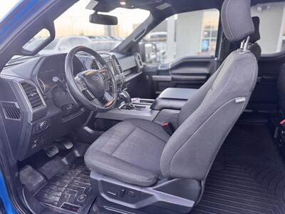 2019 Ford F-150 XLT   - Photo 10 - Edmonton, AB T5S 1R1