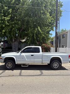 1998 Dodge Dakota Truck