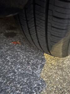 2015 Mercedes-Benz GLK GLK 350 4MATIC   - Photo 53 - Brooklyn, NY 11218