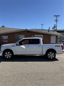 2015 Ford F-150 Platinum - Photo 7 - Washington Terrace, UT 84405