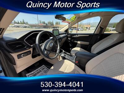 2020 Ford Escape SE   - Photo 3 - Quincy, CA 95971