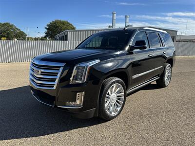 2015 Cadillac Escalade Platinum - Photo 1 - Amarillo, TX 79109