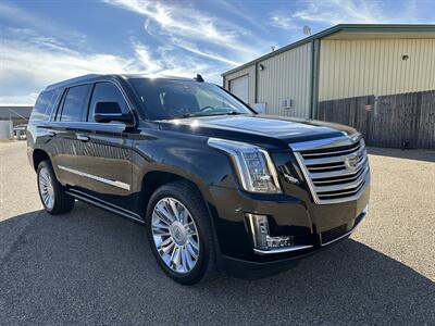 2015 Cadillac Escalade Platinum - Photo 5 - Amarillo, TX 79109