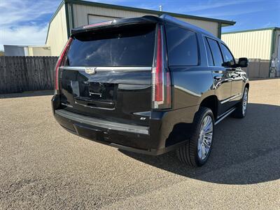 2015 Cadillac Escalade Platinum - Photo 4 - Amarillo, TX 79109