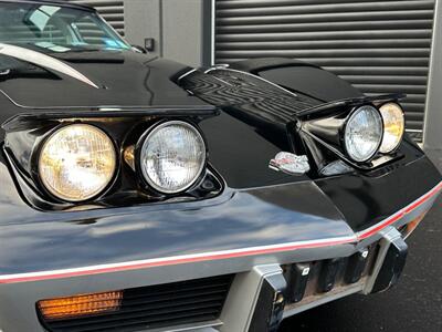 1978 Chevrolet Corvette Indianapolis 500 Pace Car  L82 - Photo 84 - Peapack & Gladstone, NJ 07977