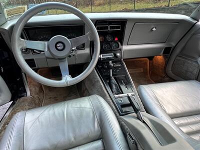 1978 Chevrolet Corvette Indianapolis 500 Pace Car  L82 - Photo 74 - Peapack & Gladstone, NJ 07977