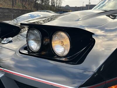 1978 Chevrolet Corvette Indianapolis 500 Pace Car  L82 - Photo 83 - Peapack & Gladstone, NJ 07977