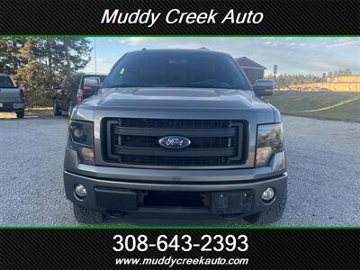 2013 Ford F-150 FX4 - Photo 4 - Merna, NE 68856