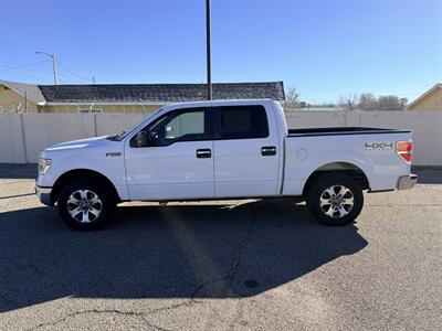 2014 Ford F-150 XLT - Photo 3 - Albuquerque, NM 87107