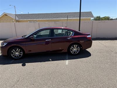 2014 Honda Accord EX-L - Photo 3 - Albuquerque, NM 87107