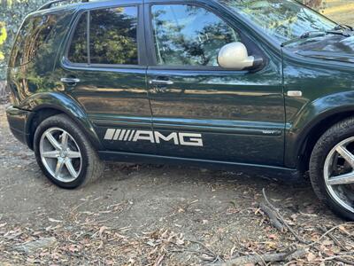 2000 Mercedes-Benz ML 55 AMG AWD   - Photo 73 - Chino Hills, CA 91709