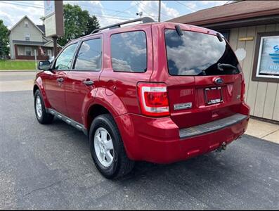 2011 Ford Escape XLT   - Photo 6 - Canton, OH 44707