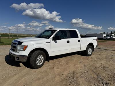 2014 Ford F-150 XLT Truck