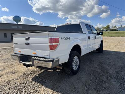 2014 Ford F-150 XLT   - Photo 4 - Belfield, ND 58622