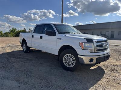 2014 Ford F-150 XLT   - Photo 3 - Belfield, ND 58622