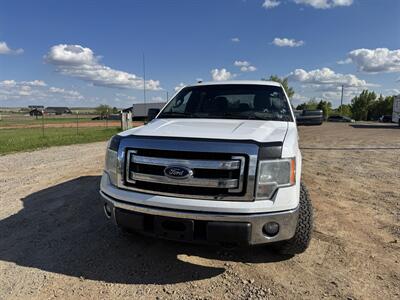 2014 Ford F-150 XLT   - Photo 2 - Belfield, ND 58622