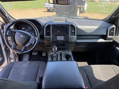 2017 Ford F-150 XLT   - Photo 9 - Belfield, ND 58622