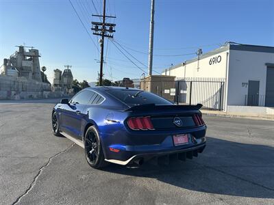 2015 Ford Mustang GT 50 Years Limited Editi   - Photo 3 - Canoga Park, CA 91303