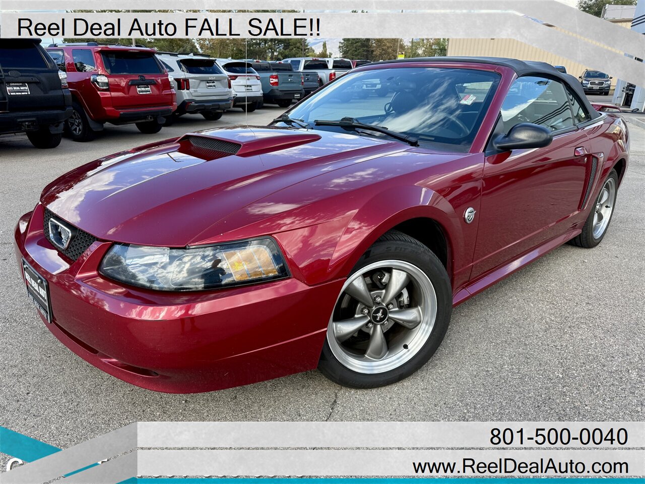 2004 Ford Mustang GT Premium