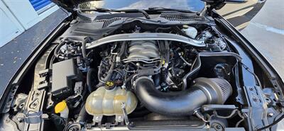2019 Ford Mustang GT - Photo 9 - Apopka, FL 32703