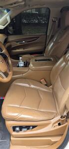 2015 Cadillac Escalade Platinum   - Photo 11 - Apopka, FL 32703