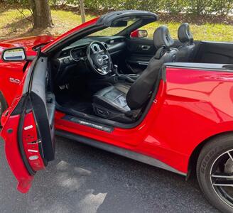 2019 Ford Mustang GT Premium   - Photo 8 - Apopka, FL 32703