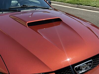2001 Ford Mustang GT   - Photo 13 - Elk Grove, CA 95624
