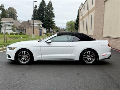 2015 Ford Mustang EcoBoost Premium   - Photo 7 - Elk Grove, CA 95624