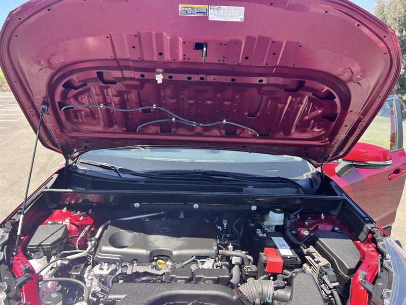 2019 Toyota RAV4 LE - Photo 8
