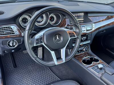 2014 Mercedes-Benz CLS CLS 550 4MATIC   - Photo 35 - Laguna Niguel, CA 92677