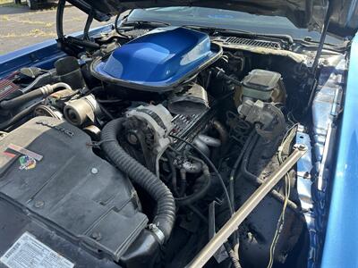 1981 Pontiac Firebird Trans Am   - Photo 13 - Topeka, KS 66608