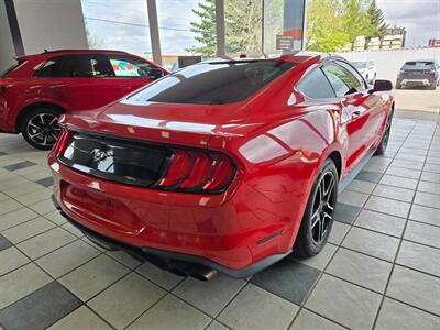 2019 Ford Mustang EcoBoost Premium   - Photo 7 - Calgery,  
