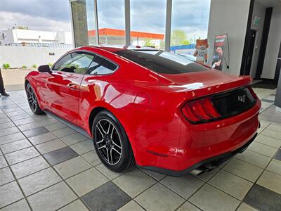 2019 Ford Mustang EcoBoost Premium   - Photo 5 - Calgery,  