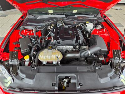 2019 Ford Mustang EcoBoost Premium   - Photo 21 - Calgery,  