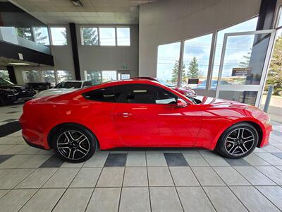 2019 Ford Mustang EcoBoost Premium   - Photo 8 - Calgery,  