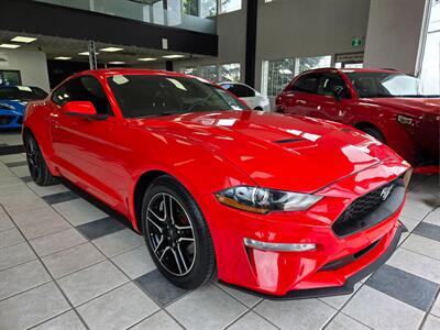 2019 Ford Mustang EcoBoost Premium   - Photo 1 - Calgery,  