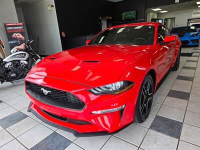 2019 Ford Mustang EcoBoost Premium   - Photo 3 - Calgery,  