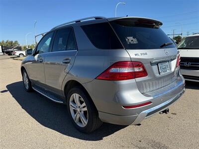 2013 Mercedes-Benz ML 350 BlueTEC - Photo 5 - Edmonton, AB T5G 0N9