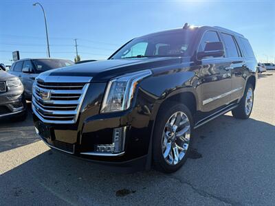 2017 Cadillac Escalade Platinum   - Photo 3 - Edmonton, AB T5S 2X1