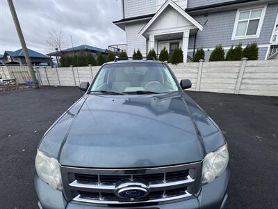 2011 Ford Escape XLT - Photo 7 - Langley, BC V3A 4H1