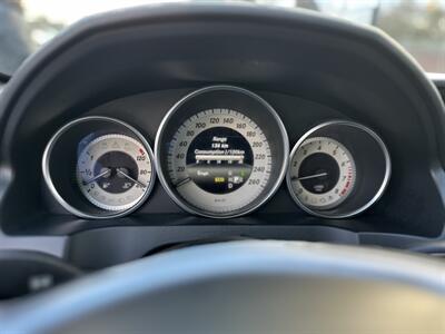 2014 Mercedes-Benz E 350 - Photo 23 - Langley, BC V3A 4H1
