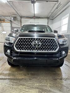 2019 Toyota Tacoma TRD Sport   - Photo 3 - Honesdale, PA 18431